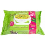 Farm Company ubrousky s Aloe Vera 40 ks – Hledejceny.cz