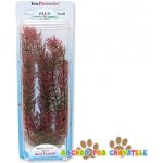 Tetra rostlina Red Foxtail Plus 30 cm – Zboží Mobilmania