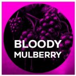 SQUAT CARP Hotové boilies Bloody Mulberry 5 kg 24 mm – Zboží Dáma