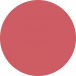 PuroBIO Cosmetics Long-lasting Blush Dlouhotrvající Tvářenka 02 Matte Coral Pink 3,5 g – Zboží Dáma PuroBIO Cosmetics Long-lasting Blush Dlouhotrvající Tvářenka 02 Matte Coral Pink 3,5 g – Zboží Dáma