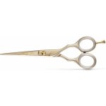 Kiepe Professional Luxury Premium 2451 5,5´ Gold profi nůžky na vlasy 14,5 cm zalté – Zboží Dáma