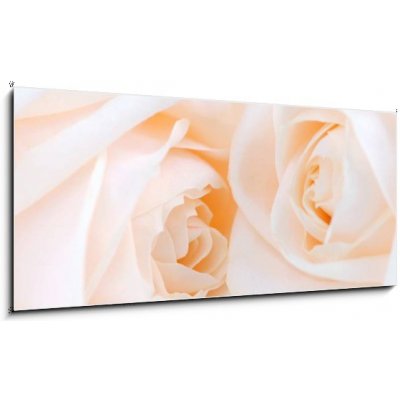 Obraz 1D panorama - 120 x 50 cm - Two delicate high key beige roses macro floral background Dvě jemné vysoké klíčové béžové růže makro květinové pozadí – Zboží Mobilmania