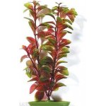 Hagen rostlina Red Ludwigia 30 cm – Hledejceny.cz