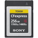 Sony 256 GB CEBG256 – Hledejceny.cz