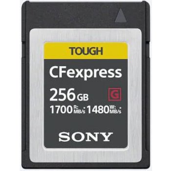 Sony 256 GB CEBG256