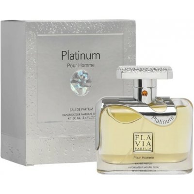 Flavia Platinum Pour Homme parfémovaná voda pánská 100 ml