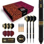 steel Red Dragon 50 Years Player Edition Peter Wright 21g 90% wolfram – Zboží Mobilmania