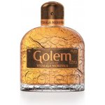 Golem Meruňka Vyzrálá 37,5% 0,5 l (holá láhev) – Zboží Dáma