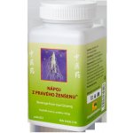 TCM Herbs Nápoj z pravého ženšenu 100 g – Hledejceny.cz
