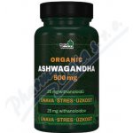 Naturprodukt Ashwagandha 500 mg 60 tablet – Hledejceny.cz