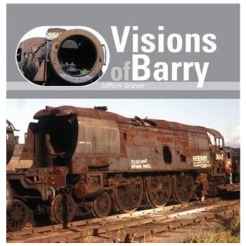 Visions of Barry Grayer Jeffery