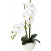 Květina umělá Orchidej bílá v květináči, 50cm