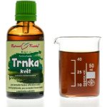 Bylinné kapky tinktura Trnka květ 50 ml – Hledejceny.cz