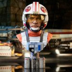 Gentle Giant Star Wars Episode IV Legends in 3D Bust 1/2 Luke Skywalker X-Wing Pilot 25 cm – Hledejceny.cz