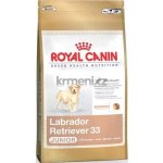 Royal Canin labrador retriever Puppy 24 kg – Sleviste.cz