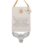 Widdop Závěsná dekorace dopis, Harry Potter – Hledejceny.cz