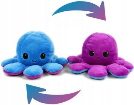Oboustranná chobotnice Modrá