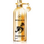Montale Arabians parfémovaná voda unisex 100 ml – Hledejceny.cz