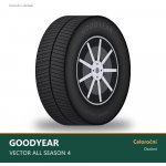 Goodyear Vector All Season 4 235/45 R18 98Y – Hledejceny.cz
