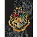 Halantex Fleecová deka Harry Potter s erbem