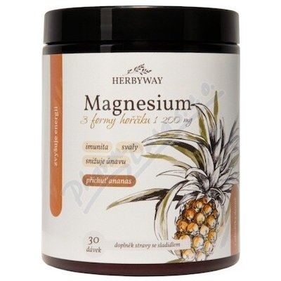 Herbyway Magnesium 1200mg 3 formy hořč.ananas 170 g – Hledejceny.cz