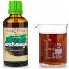 Doplněk stravy Chanchalagua bylinné kapky tinktura 50 ml