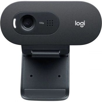 Logitech C505 HD Webcam