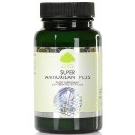 G&G Vitamins SUPER ANTIOXIDANT PLUS 60 kapslí – Hledejceny.cz