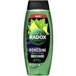 Radox Refreshment Menthol And Citrus 3-in-1 Shower Gel 450 ml – Hledejceny.cz