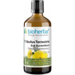Bioherba Přírodní tinktura kotvičník zemní tribulus terestris 100 ml – Hledejceny.cz