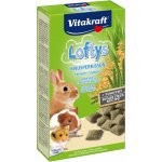 Vitakraft Rodent Lofty´s all rodent 100 g – Sleviste.cz