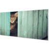 Obraz akrylový obraz Vypadající kočka 100x50 cm