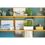 Click And Grow SmartGarden CNG SG3 GRE šedý – Zboží Mobilmania