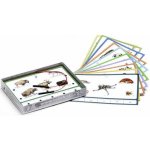 Svoboda Zvířata světa – Zboží Živě