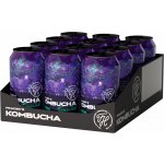 Prager's Kombucha Matcha 12 x 330 ml – Hledejceny.cz