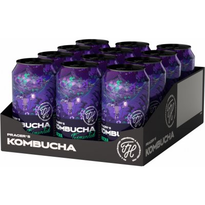 Prager's Kombucha Matcha 12 x 330 ml – Hledejceny.cz