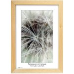 TRADAG Natura 20 x 30 přírodní – Zboží Živě