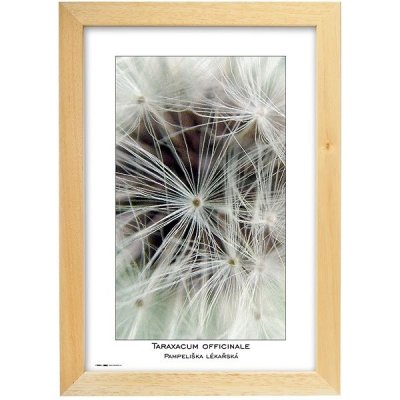 TRADAG Natura 20 x 30 přírodní – Zboží Živě