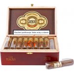 Quesada Casa Magna Colorado Torito 27 ks – Hledejceny.cz