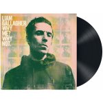 Gallagher Liam - Why Me? Why Not / Vinyl – Sleviste.cz