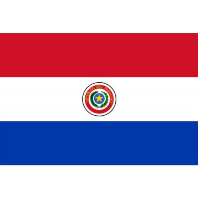 Státní vlajka Paraguay tištěná venkovní Alerion – Hledejceny.cz