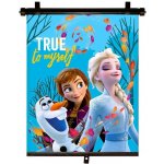 Seven Sluneční Roletka Ledové Království True
