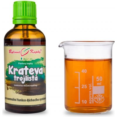Bylinné kapky Krateva trojlistá Crateva nurvala Varuna tinktura Pavlovy bylinné kapky 50 ml – Hledejceny.cz