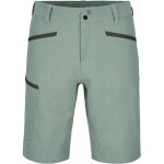 Ortovox Pelmo shorts Men's Arctic Grey – Zboží Dáma