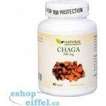 Natural Medicaments Chaga 500 mg 90 kapslí – Hledejceny.cz