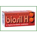 Naturvita Biosil H 60 tablet – Hledejceny.cz