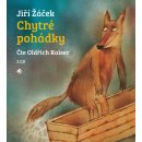 Chytré pohádky - Jiří Žáček - 2CD