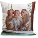 Sablio Polštář Opičky 50x50 – Sleviste.cz