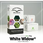 Dutch Passion Auto White Widow semena neobsahují THC 3 ks – Zboží Dáma