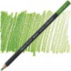 pastelka Caran d'Ache 3510.245 Museum light olive